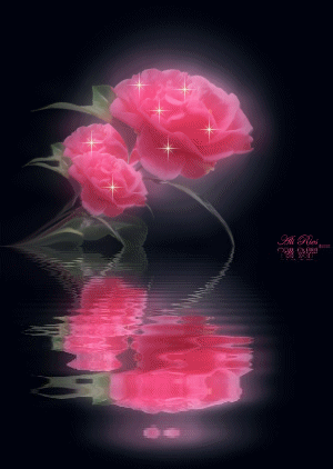 awesomerose.gif